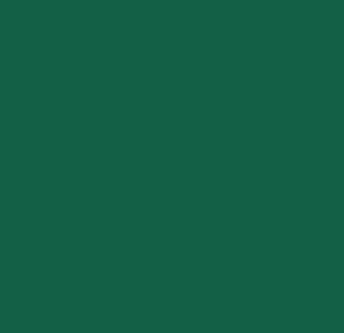 Colour palette — dark green